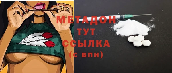 хмурый Алексин