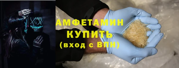 хмурый Алексин