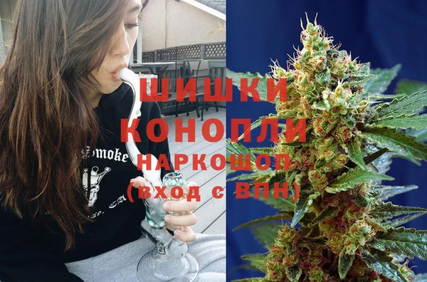 индика Алексеевка