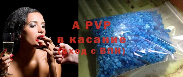 хмурый Алексин